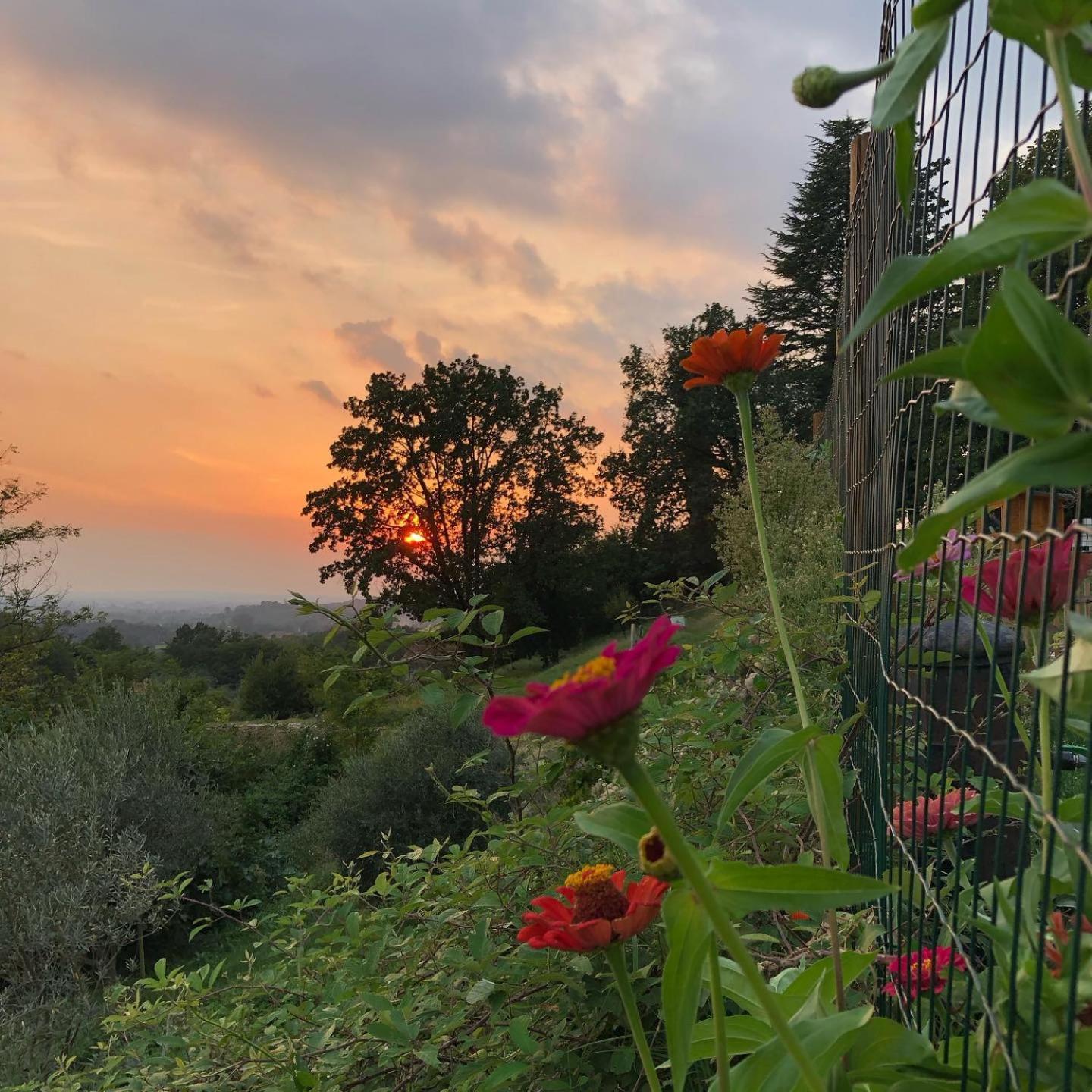 Bed and Breakfast La Casita Eco Country House Faedis Exteriér fotografie